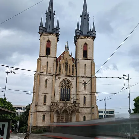 Cute D2 7 Prague