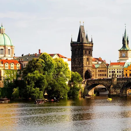 Cute D2 7 * Praga