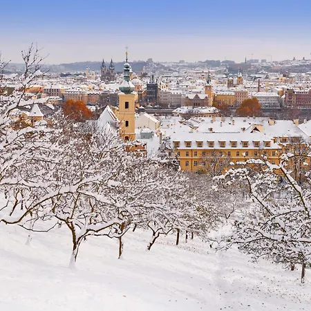 Homestay Cute D2 7 Prague